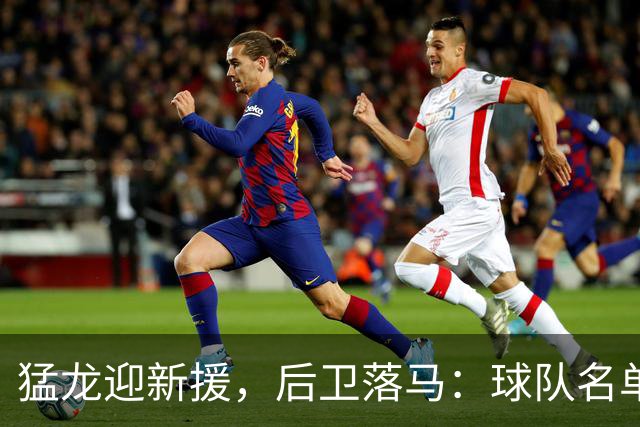 猛龙迎新援，后卫落马：球队名单再刮风